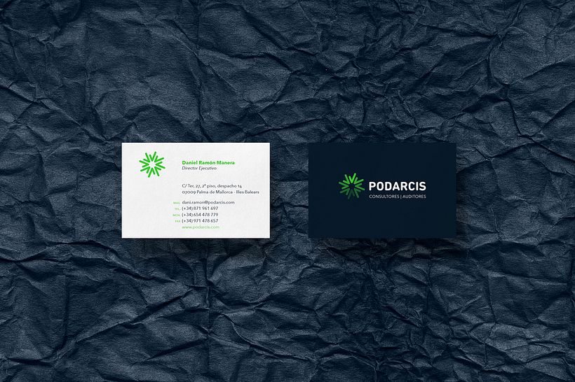 Podarcis 5