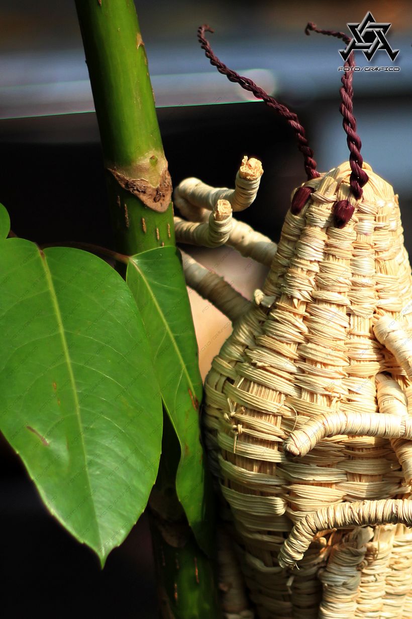 Taller de Totomoxtle  32