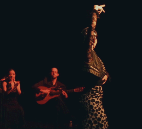 OLE! Flamenco: First shot at Photoshop rotoscopia  0