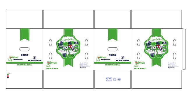 Branding &Packaging O´Viso 2