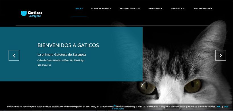Gaticos Zgz 0
