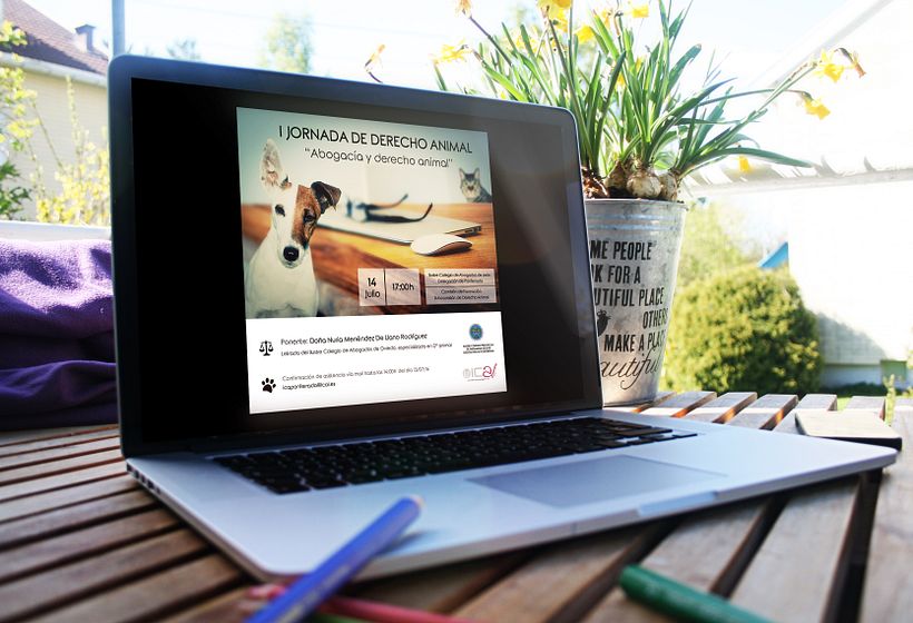 Jornadas de Derecho Animal 0