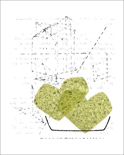 oblivion. edición completa de un libro de poesía. 15