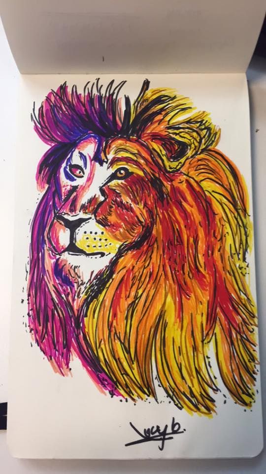 Ilustraciones a color 12