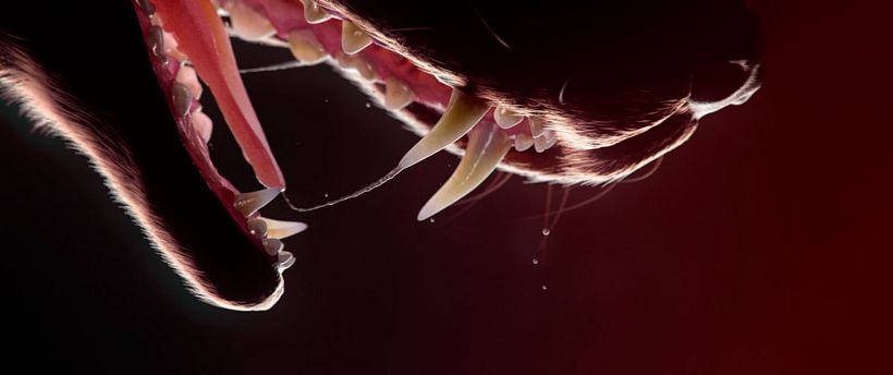 Preguntamos a profesionales sobre Cinema 4D R18 7