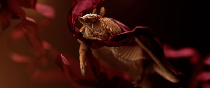 Preguntamos a profesionales sobre Cinema 4D R18 11
