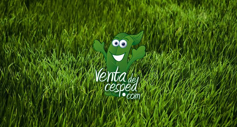 Diseños customizados 1