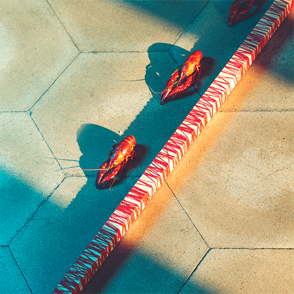 Sueños convertidos en gif 3