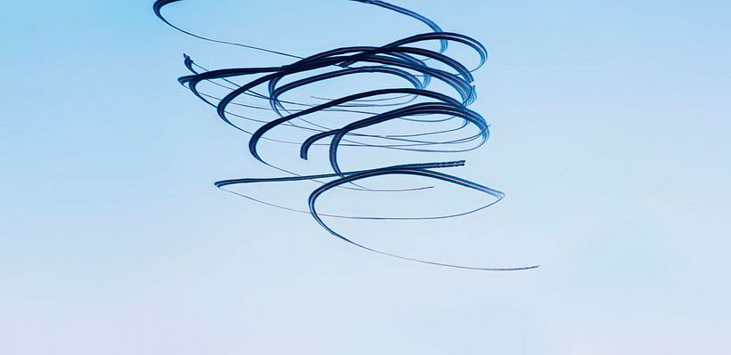 'Ornitografías': un estudio fotográfico poético-científico 4