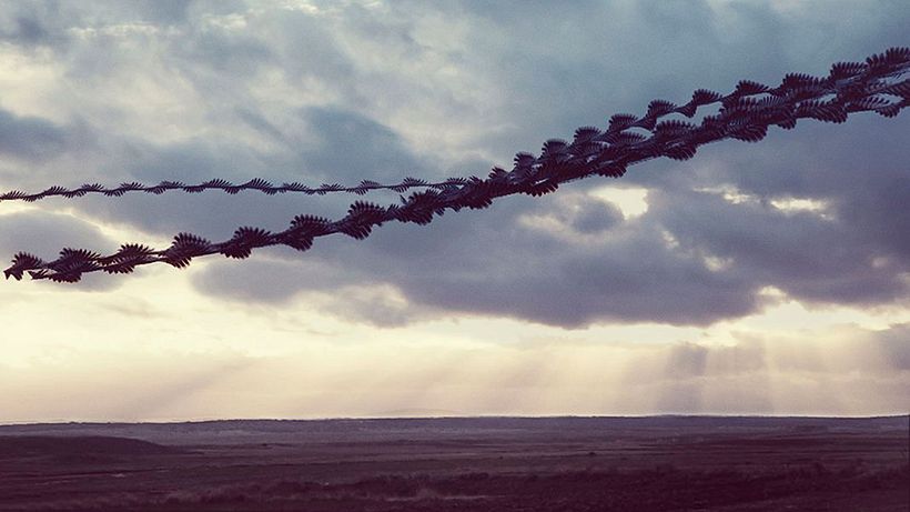 'Ornitografías': un estudio fotográfico poético-científico 7