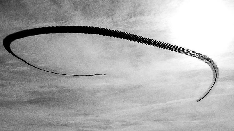 'Ornitografías': un estudio fotográfico poético-científico 8