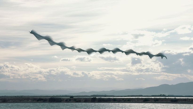 'Ornitografías': un estudio fotográfico poético-científico 15