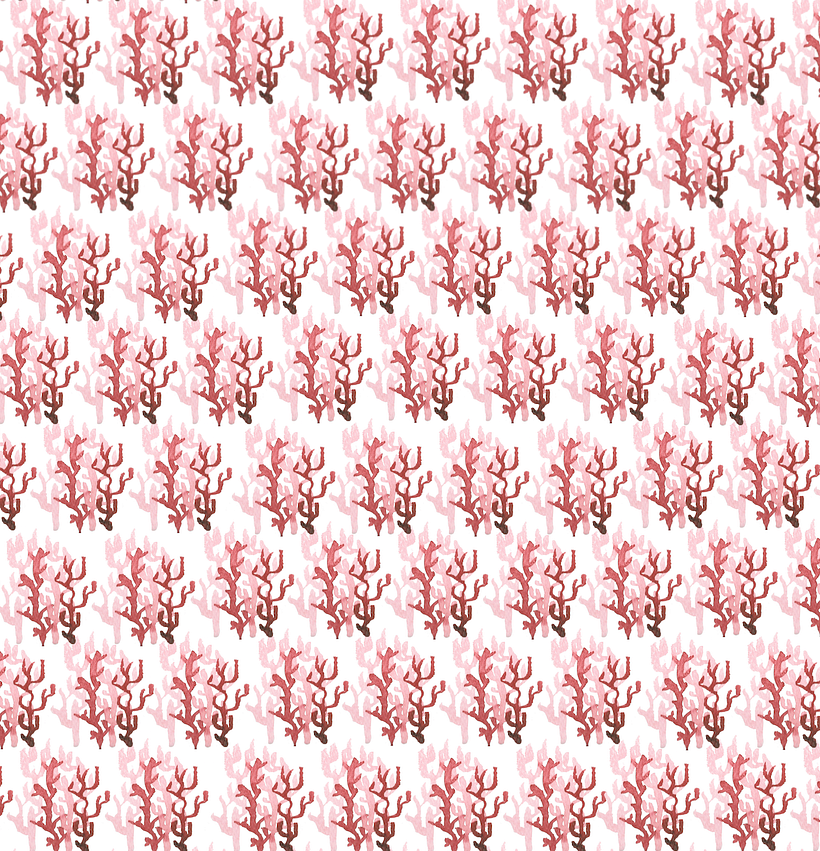 PATTERN Coral -1