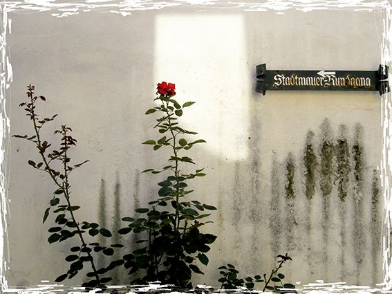 cartografías. 38