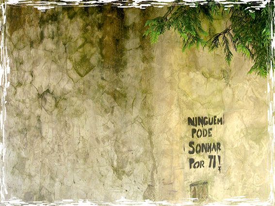 cartografías. 41