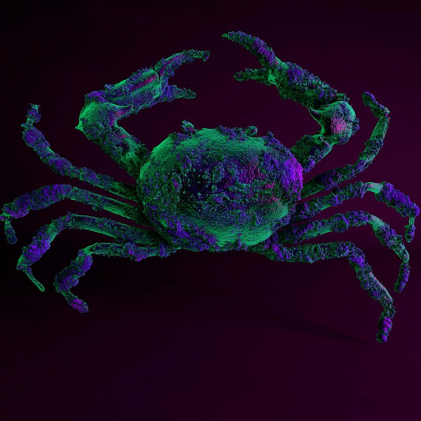 Crab -1