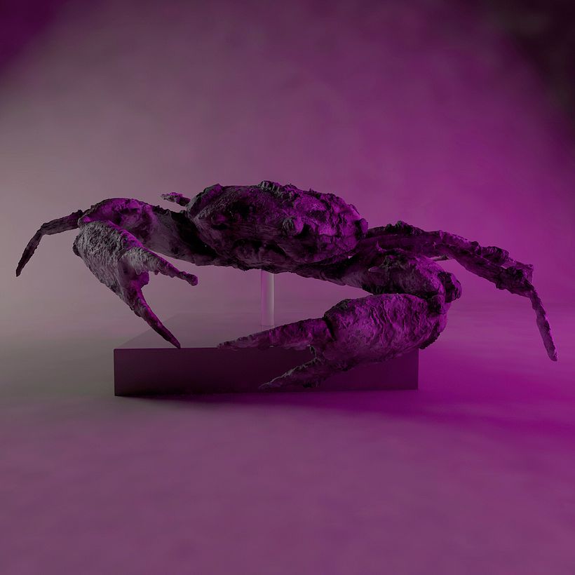 Crab 0