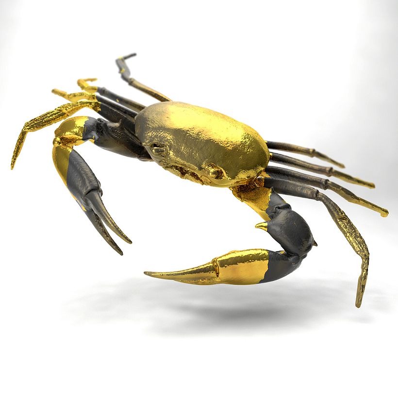Crab 1