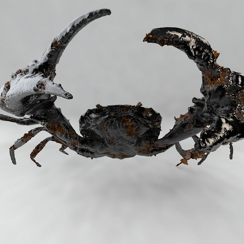 Crab 2