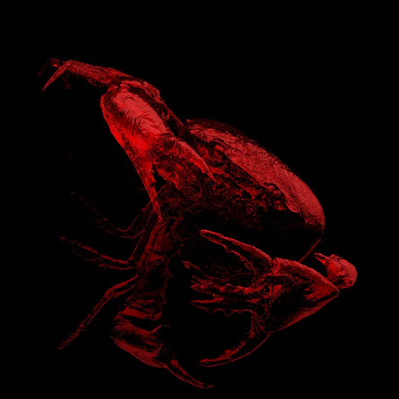 Crab 3
