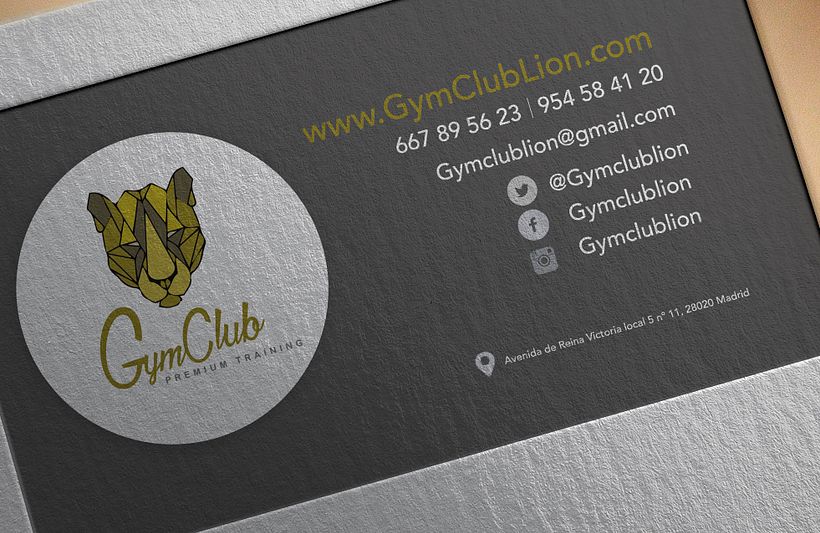 GymClubLion 0