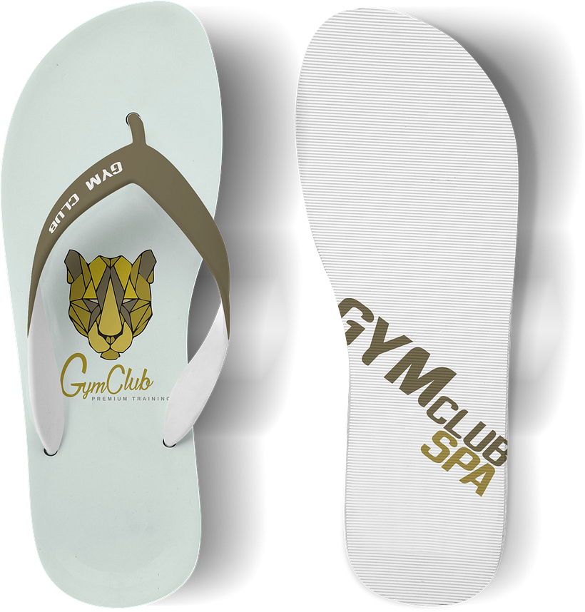 GymClubLion 2