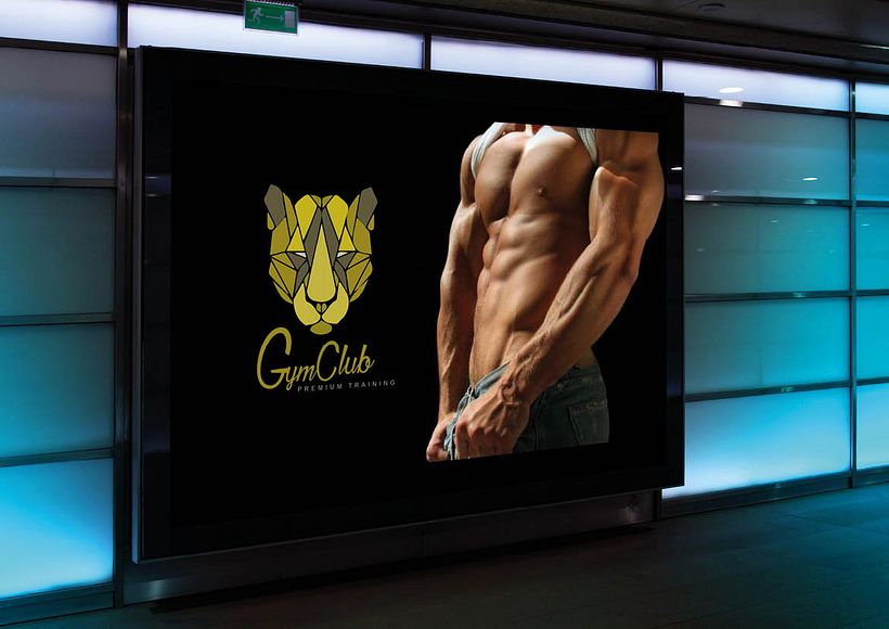 GymClubLion 6