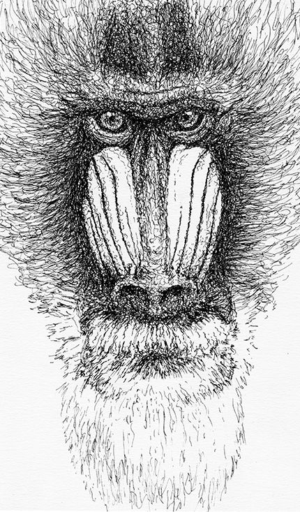 ANIMALS INK 3