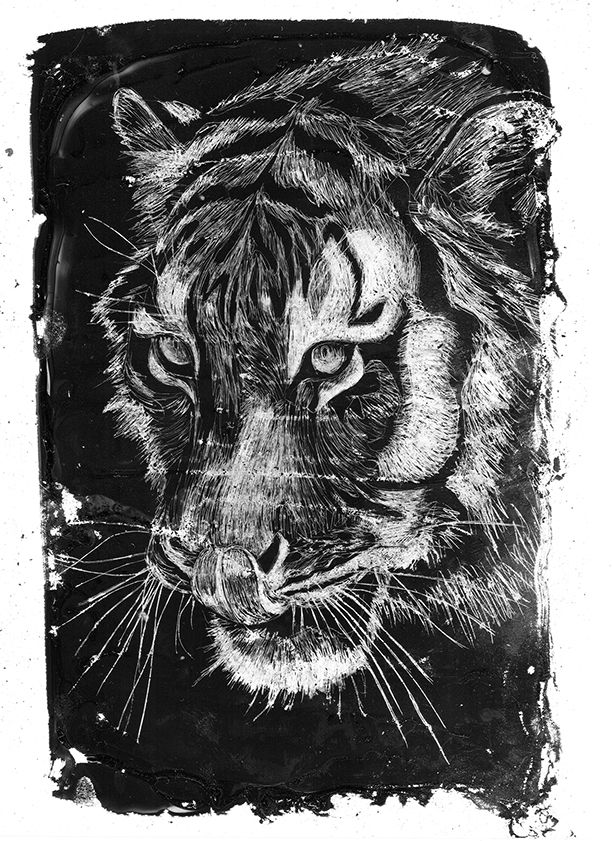 ANIMALS INK 6