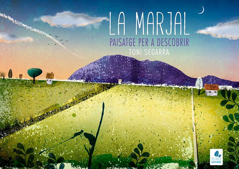 illustrated and  book covers 9