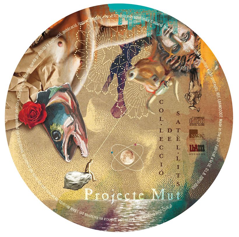 Proyecte Mut_Col·lecció de satèl·lits _CDmúsica 1