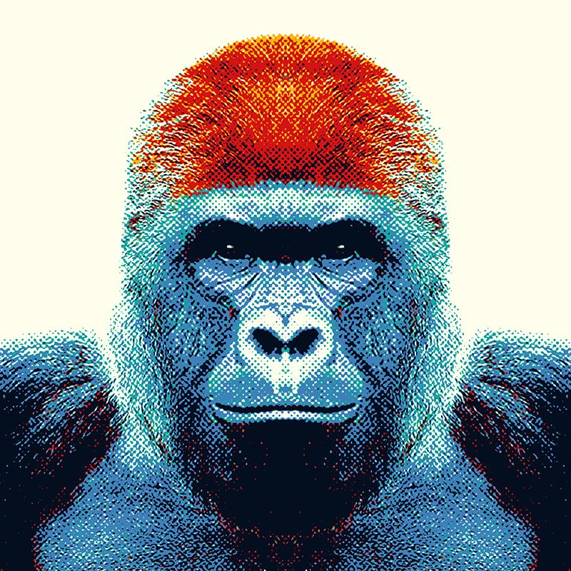 Colorful Animals 4