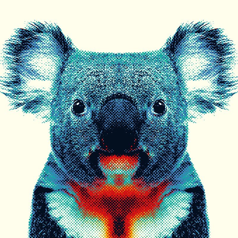 Colorful Animals 5