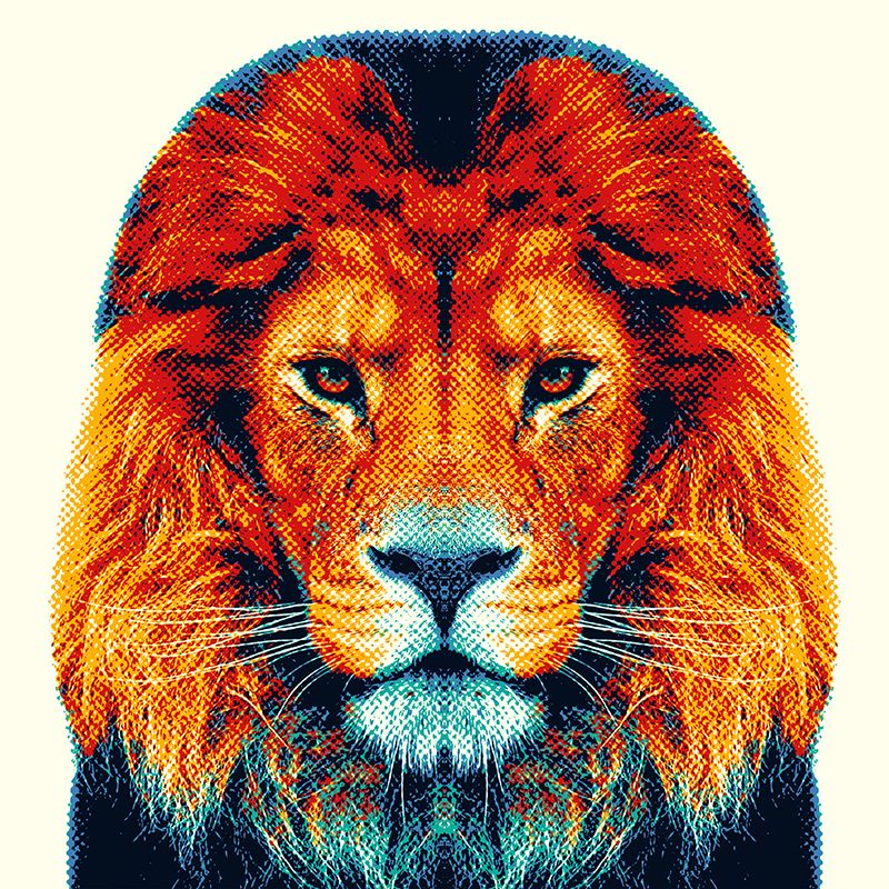 Colorful Animals 6