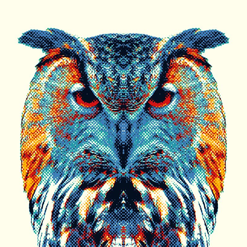 Colorful Animals 7