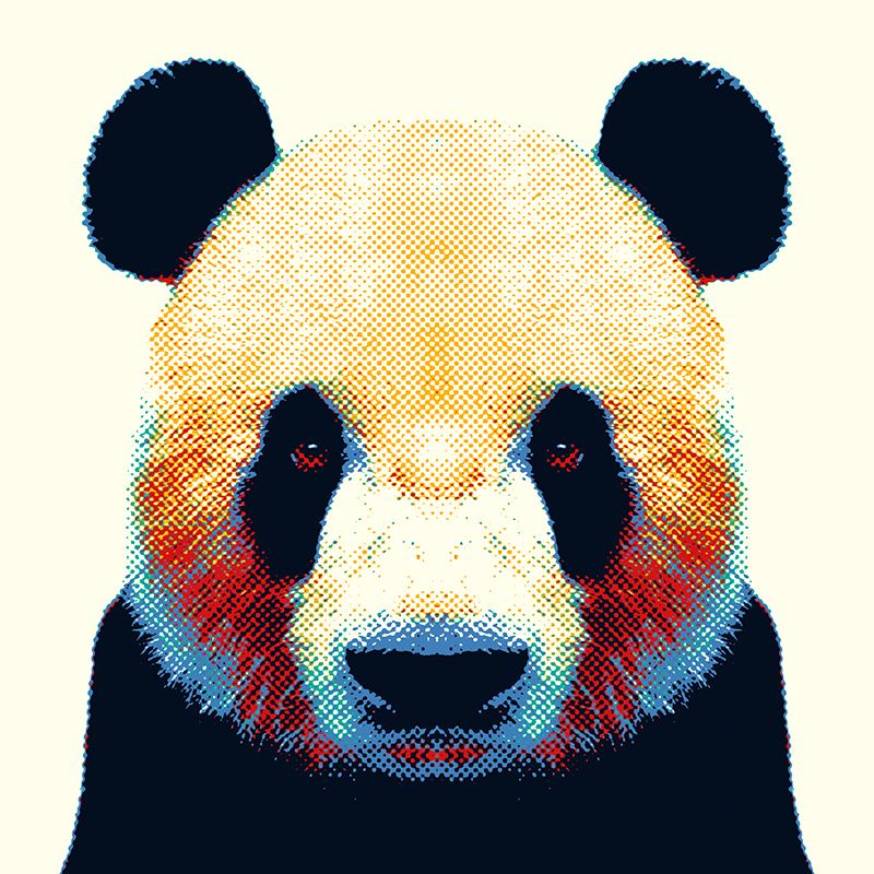 Colorful Animals 8