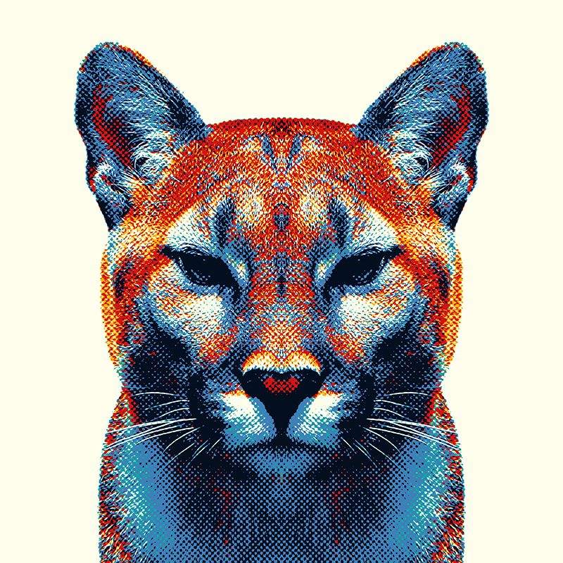 Colorful Animals 9