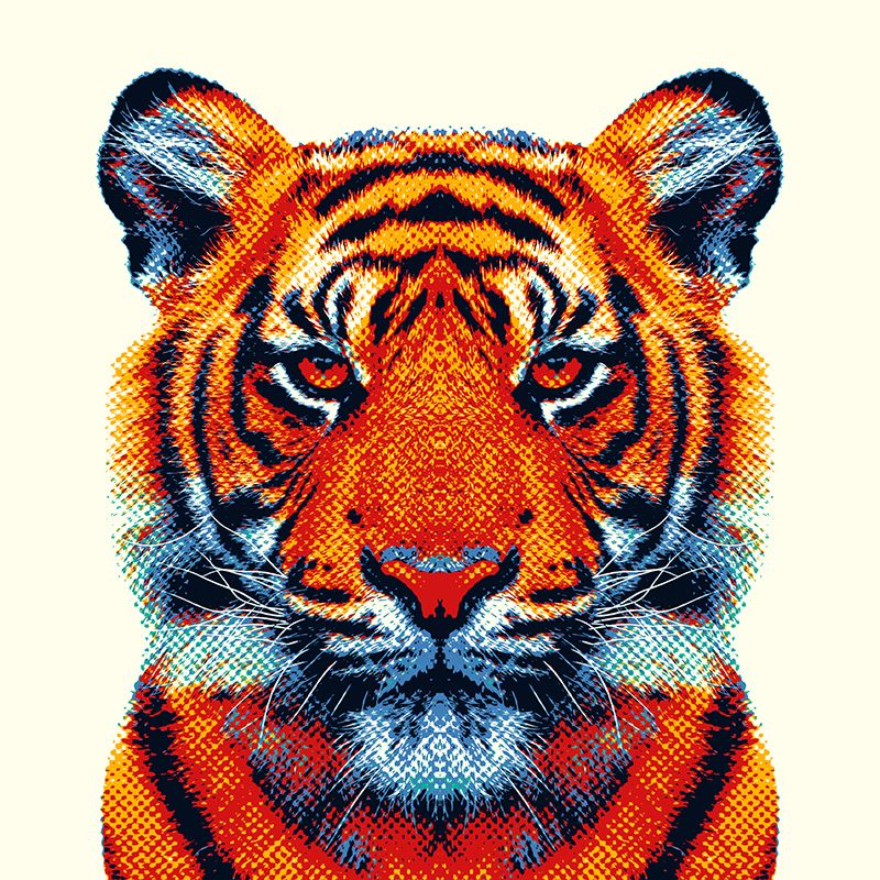 Colorful Animals 10