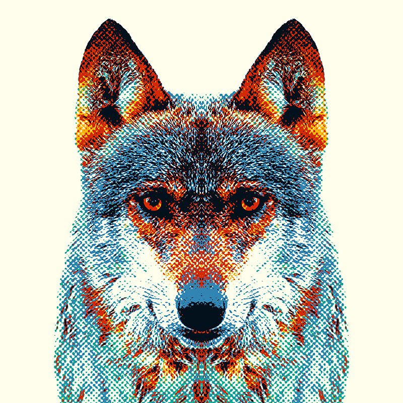 Colorful Animals 11