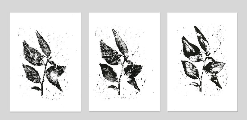 Marion Teas logo y packaging  2