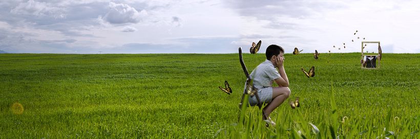 El mariposero 4