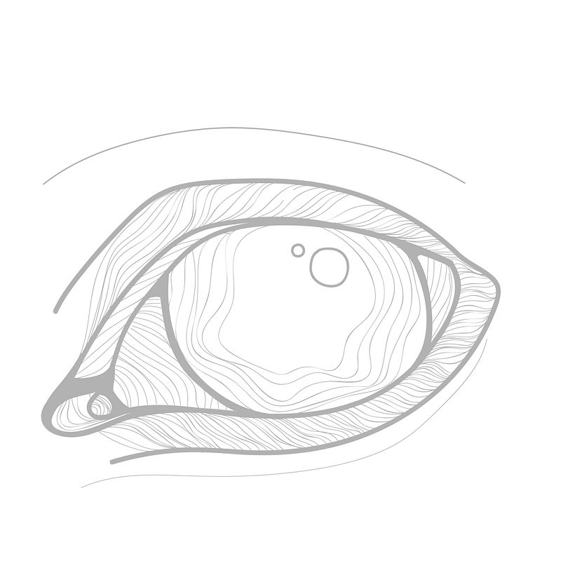 Eye obsesion 3