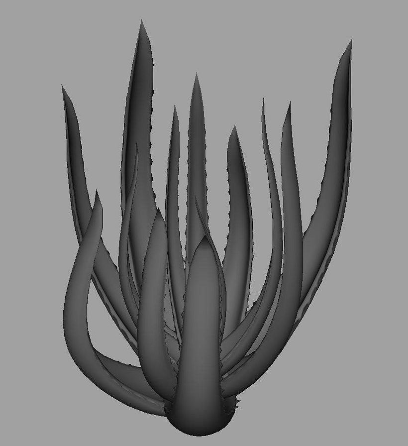 Vegetation Models 5