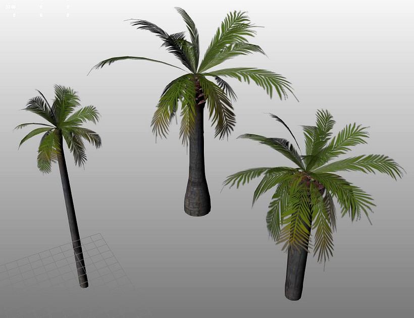 Vegetation Models 3