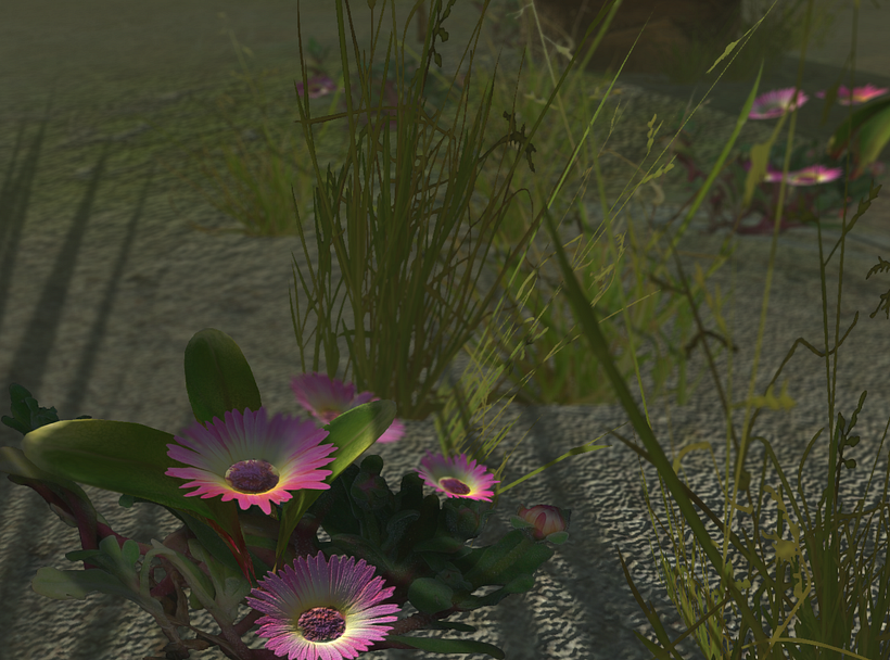 Vegetation Models 1