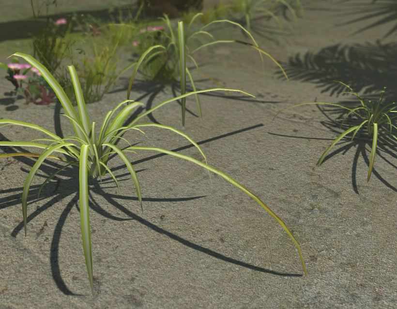 Vegetation Models 2