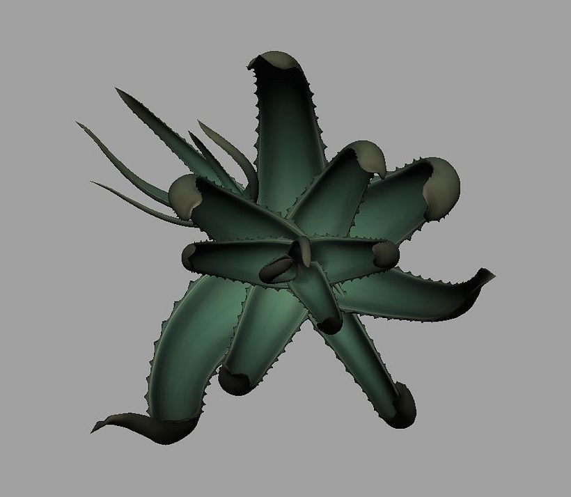 Vegetation Models 8