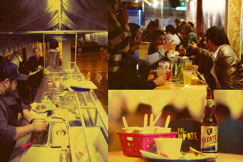 Pal.Norte - Branding e Identidade