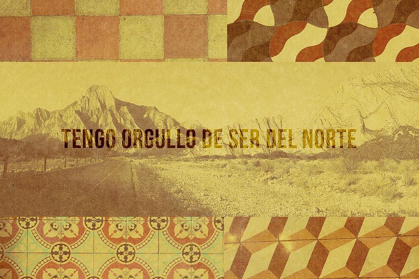 Pal.Norte - Branding e Identidade