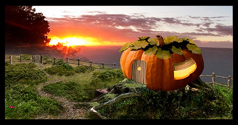 Calabazaland. 1